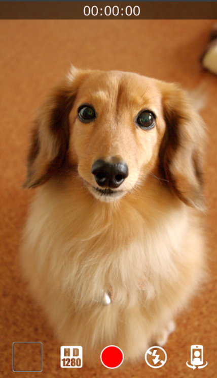 静音摄影机2025苹果版