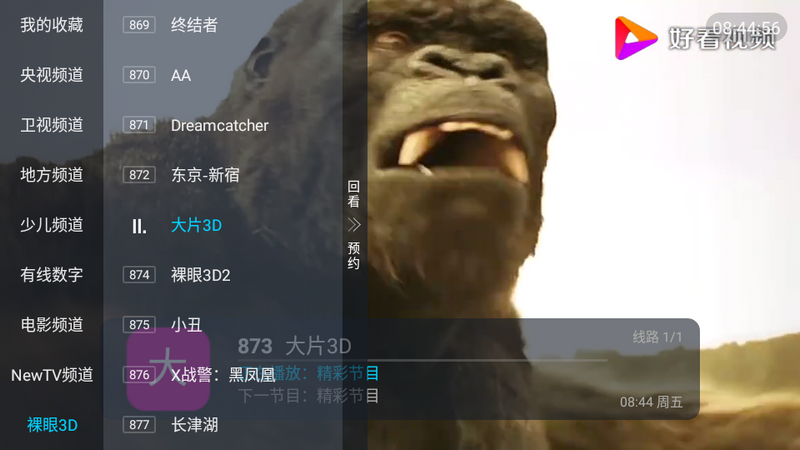 刺桐直播官方版