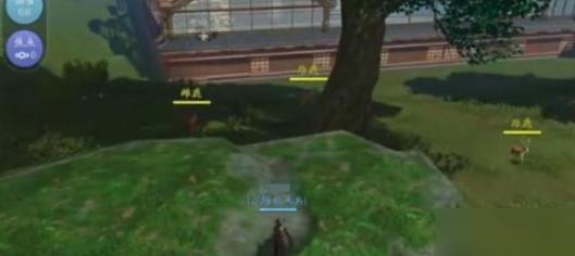 剑网3无界怎么抓马