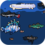 模拟水族馆1内购版最新版安卓下载