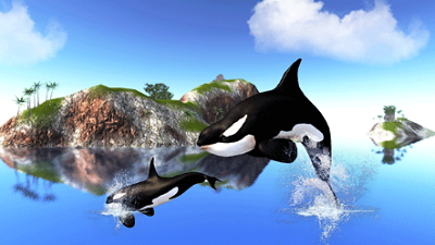 虎鲸模拟器无敌版最新版安卓