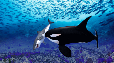 虎鲸模拟器无敌版最新版安卓