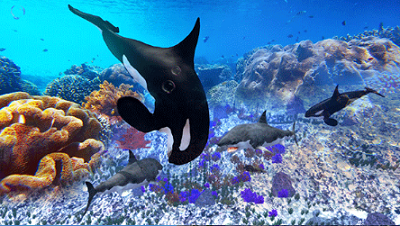 虎鲸模拟器无敌版最新版安卓