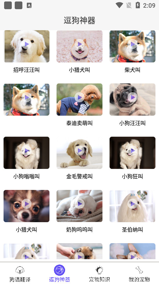 狗语翻译器免费下载