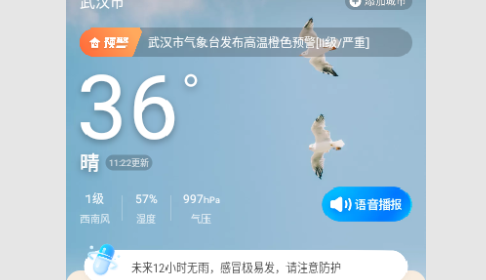 日月天气预报查询免费版