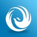 丰县论坛手机版免费版