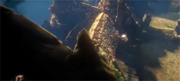 恶意不息登山镐怎么获取