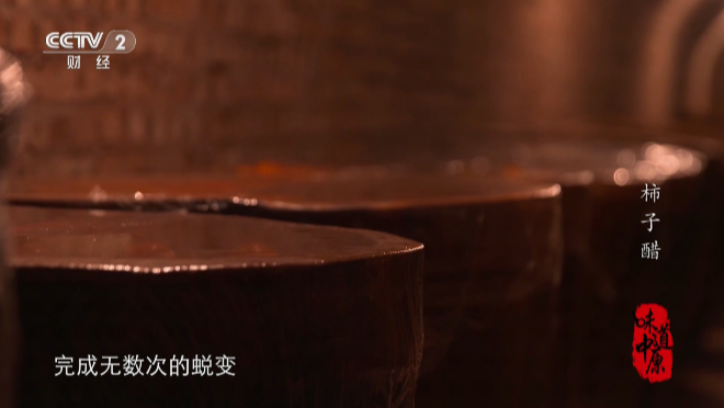 宽带电视appTV版