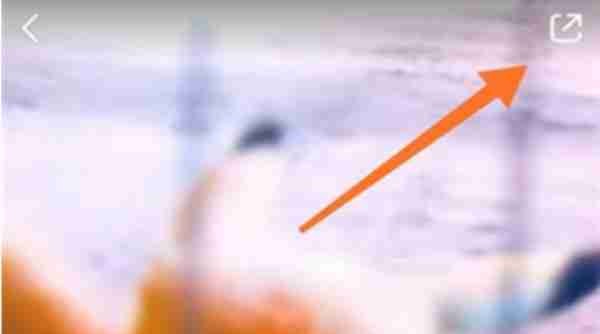 小红书如何设置动态壁纸（小红书设置动态壁纸教程方式一览）