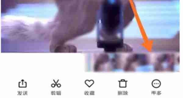 小红书如何设置动态壁纸（小红书设置动态壁纸教程方式一览）