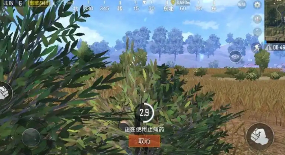 绝地求生怎么快速打包吃药