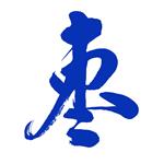 枣解决枣满意苹果版手机版