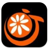 橘子视频美化2024下载安卓