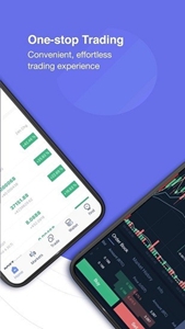 bittok币拓全新版