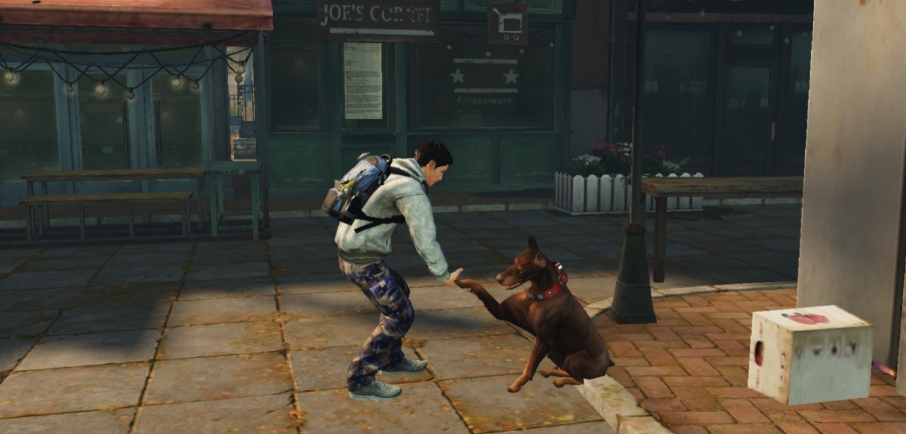 明日之后狗选什么职业好