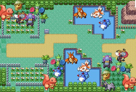 口袋妖怪火红在哪里练级最快