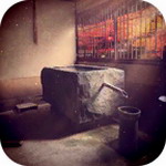 脱出游戏花鸟风月汉化版安卓手游