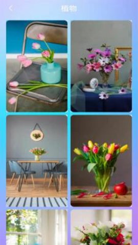 喵喵壁纸app下载安装免费版2025版安卓版