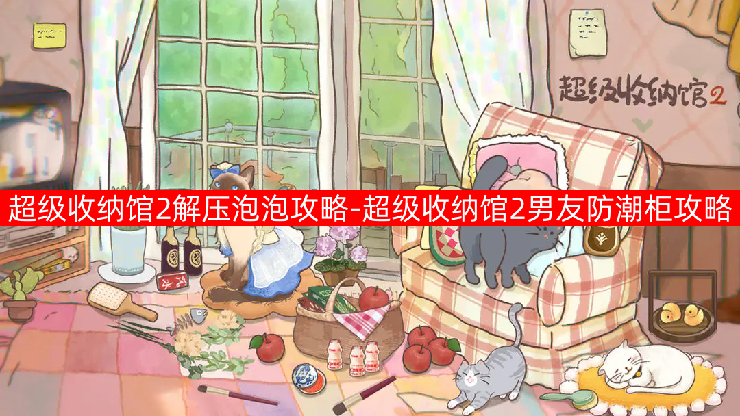 超级收纳馆2解压泡泡攻略一览（超级收纳馆2男友防潮柜攻略介绍）