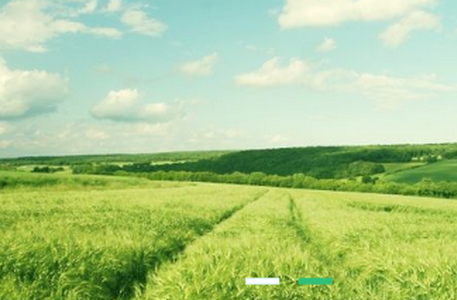 中药学中药士app安卓版