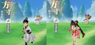 灵兽大冒险选什么职业最强