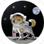 太空狗币今日价格行情app