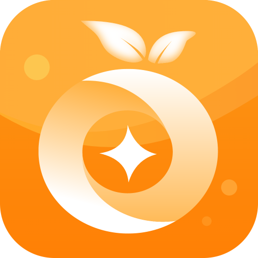 桔子记账安卓版