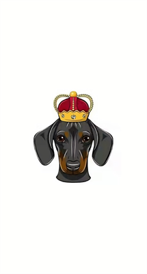 dogeking币合约地址安卓手游