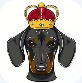 dogeking币合约地址交易所