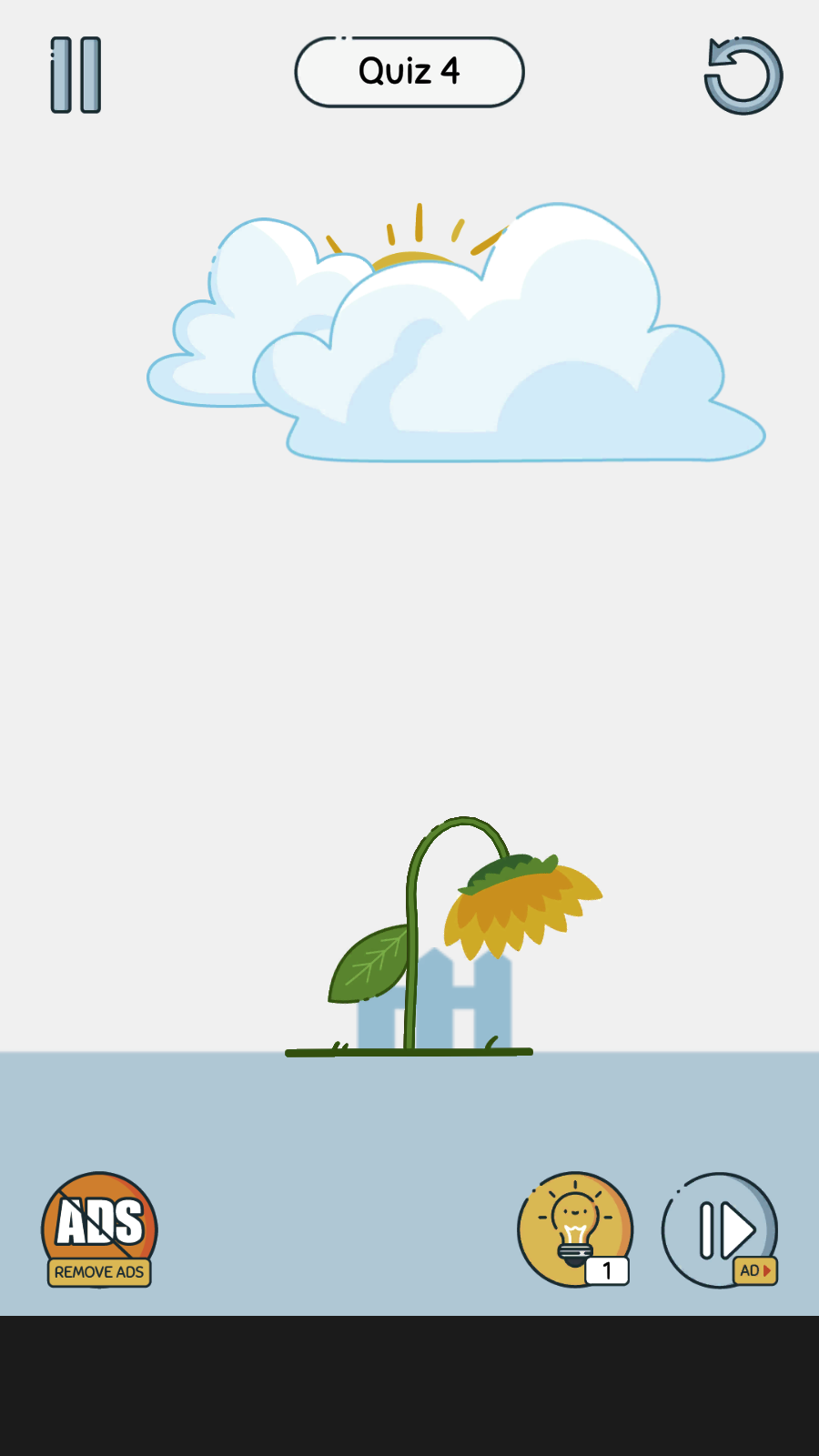 天天转转转app2025