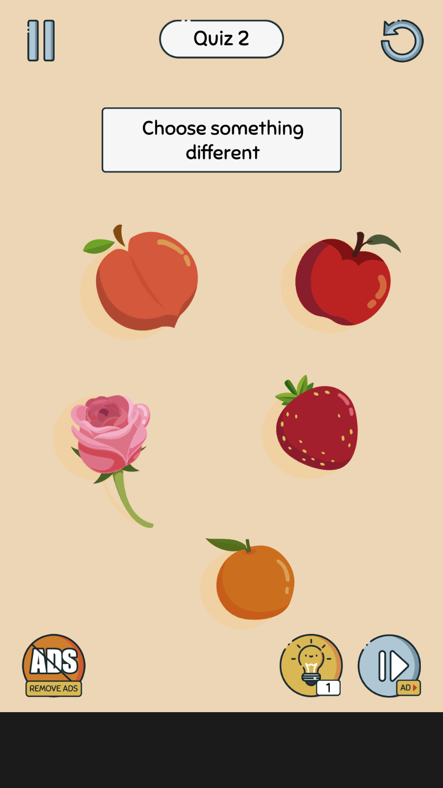 天天转转转app2025