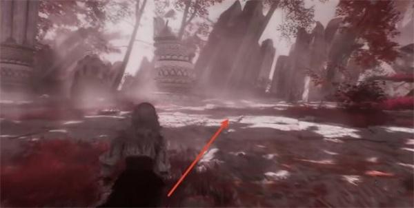 光与影33号远征队绯红森林雕像在哪