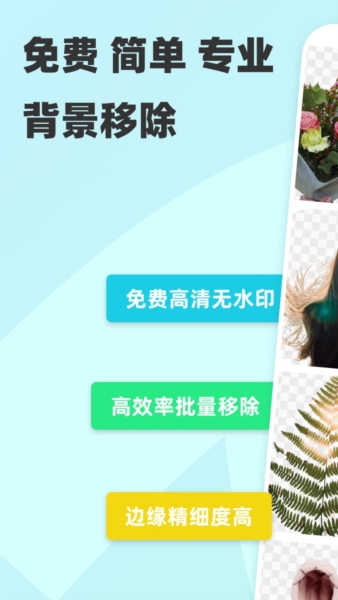 椰子背景官方版安卓版下载