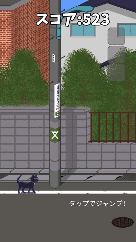 猫歩苹果2025版下载