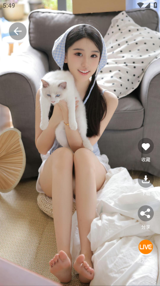 好看手机壁纸手机下载ios版