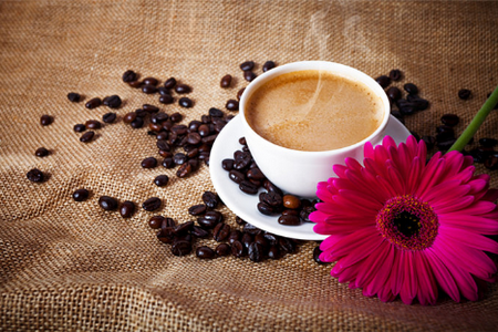 玖珠中英文翻译app手机安卓版