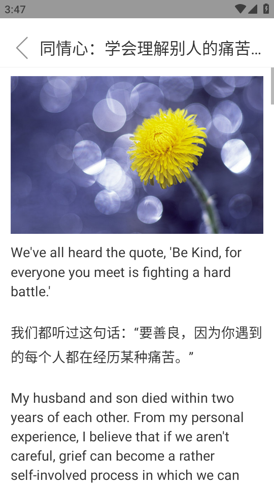 玖珠中英文翻译下载安装手机版