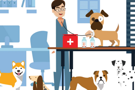 兽药查询手机版