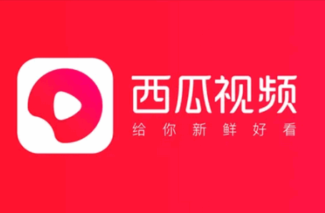 西瓜视频谷歌市场版永不升级版