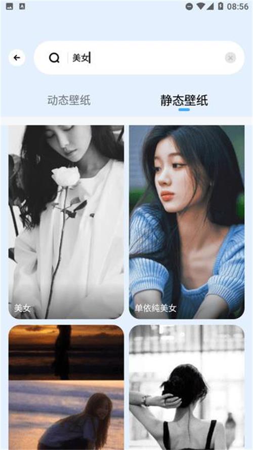 海星壁纸最新版