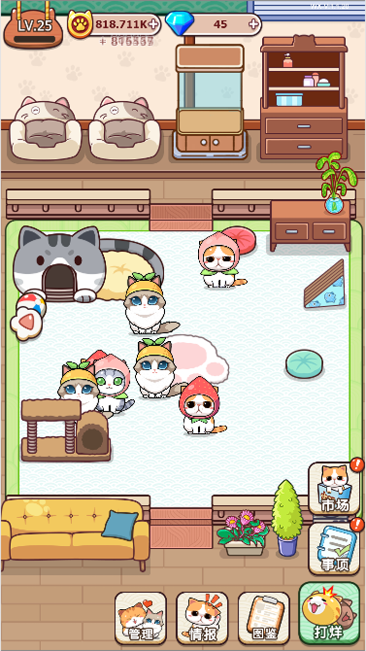 蓝星猫猫教ios2025版下载