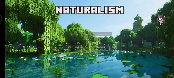 我的世界自然主义2026