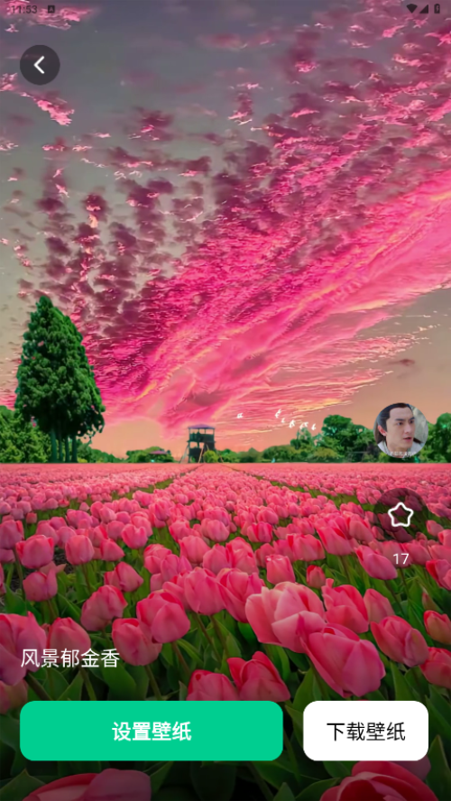 清风壁纸最新版