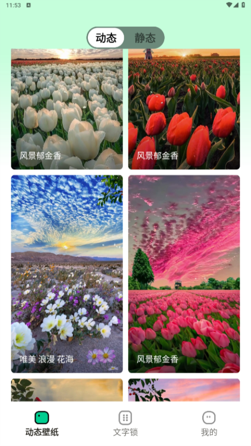 清风壁纸最新版