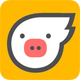 小飞猪直装安卓版最新