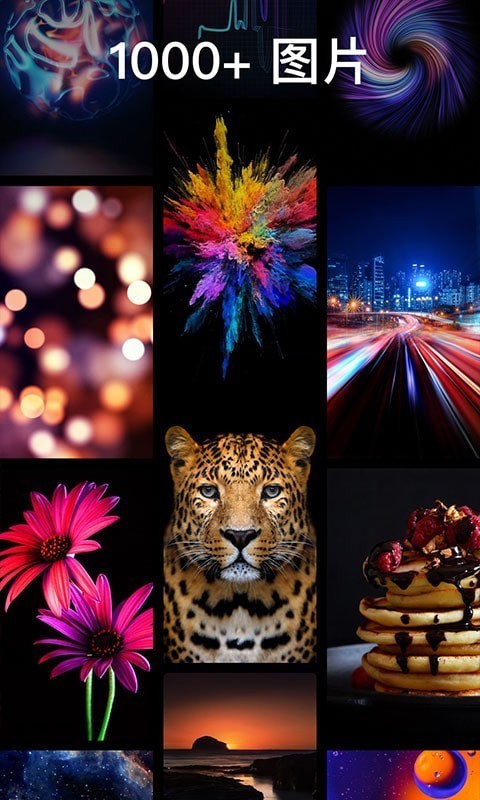 灵猫壁纸大全app安卓版 v1.0.0下载安装2026版本