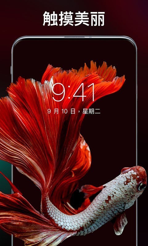 灵猫壁纸大全app安卓版 v1.0.0下载安装2026版本