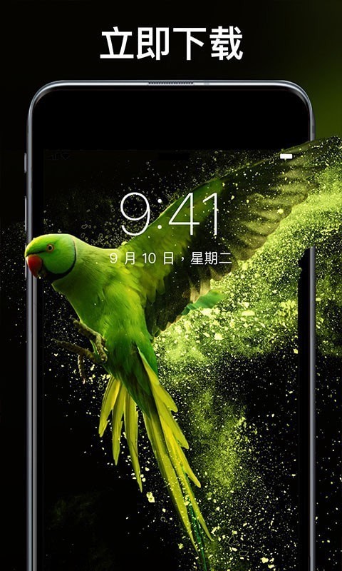 灵猫壁纸大全app安卓版 v1.0.0下载安装2026版本