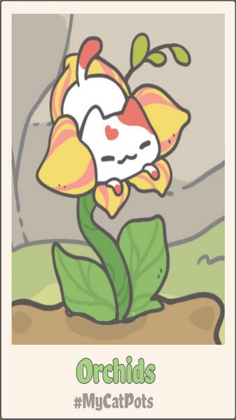 我的猫盆栽手机2026版