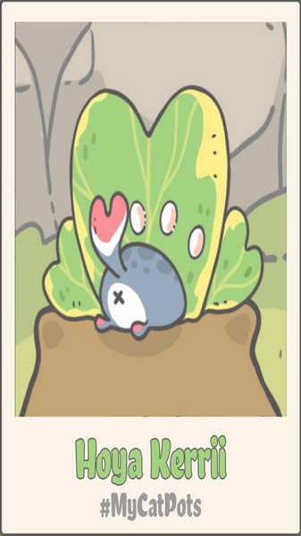 我的猫盆栽手机2026版